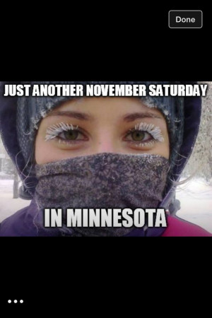 Minnesota winters