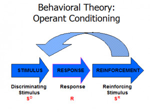 Components of Operant Conditioning