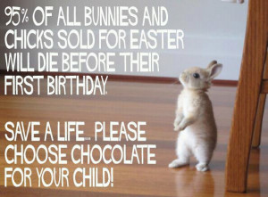 An Easter PSA: Save the Bunnies!