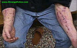 Laughter erupted among the studio audience.