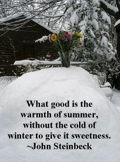 This explains why I love summer so much. My distaste for winter fuels ...