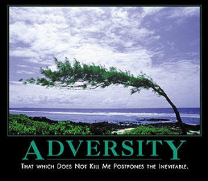Adversity Only Provides A Challenge
