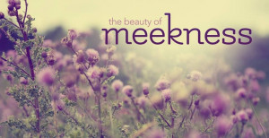 Meekness is a Fruit if the Spirit~~