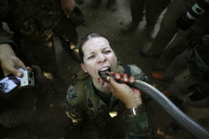 Jungle Exercises in Thailand: US Marines Drink Blood of Cobra and Bite ...