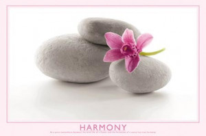 Flower and Stones - Harmony Quote