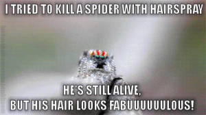 Fabulous Spider