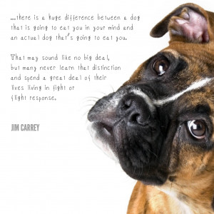 These 15 New Jim Carrey Quotes Blew My Mind and Inspired My Heart