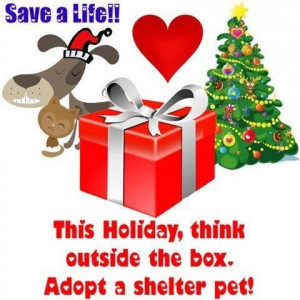 Adopt a pet this Holiday