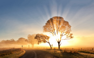 Sunrise morning mist Wallpapers Pictures Photos Images