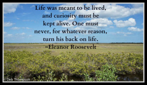 ... Quote, Life was meant to be lived, inspiration, inspirational quote