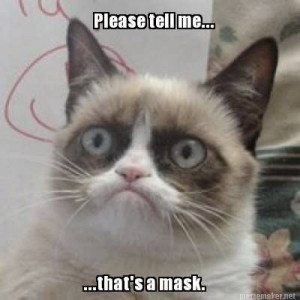 grumpy cat meme