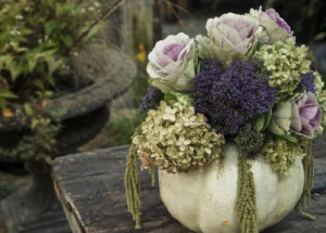 Flower Arrangements..Love the idea of using pumpkins to create flower ...