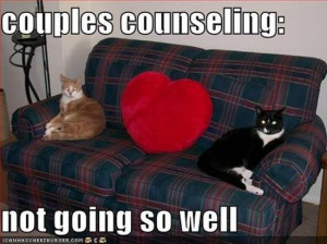 ... Funny Pictures // Tags: Funny cats - Couples counseling // May, 2013