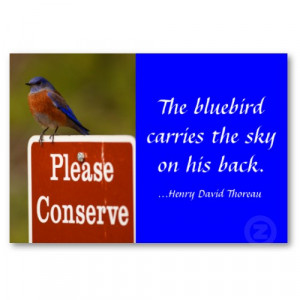 Puget Sound Bluebird Recovery Project