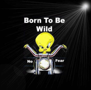 Born Wild Funny Quotes Quote Lol Tweety