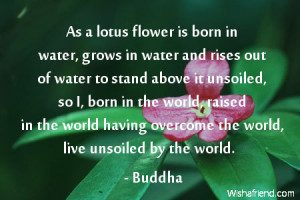flower-As a lotus flower is born in water, grows in water and rises ...