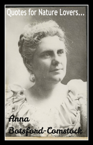 the teaching of nature study nature study is despite all discussions ...