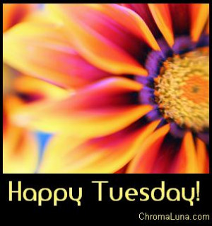 happy-tuesday-graphic-for-facebook-share.jpg#happy%20tuesday%20303x323