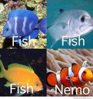 Aquarium Meme Photo Gallery