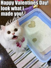 Happy Valentine Day! Look What I Made You! ~ Cat Quotes