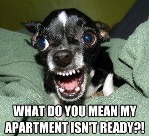 Tips to Help You Find the Madison Apartment that's Right for You!