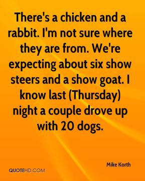 ... show steers and a show goat. I know last (Thursday) night a couple