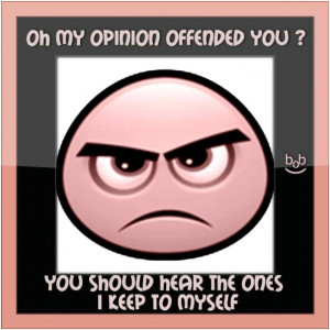Oh my opinion offended you? You should hear the ones i keep to myself ...