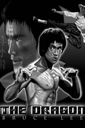 Related Pictures bruce lee mobile wallpaper