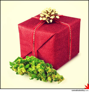 naught or #nice? #marijuana #cannabis #maryjane #christmas