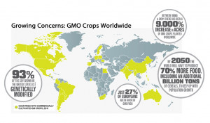 in 2011 genetically modified crops were cultivated commercially in 29 ...