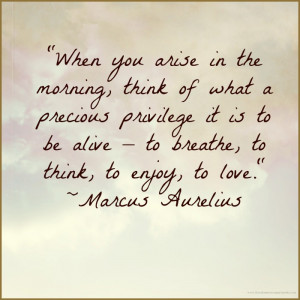 Marcus Aurelius Quotes When You Arise In The Morning Marcus aurelius ...