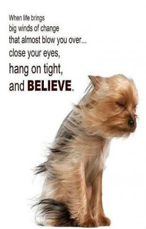 Close your eyes, hang on tight and BELIEVE!