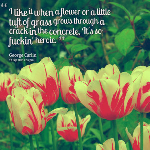 Quotes Picture: i like it when a flower or a little tuft of grbeeeeeep ...
