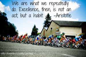 We are what we repeatedly do.excellence