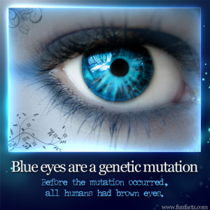 blue-eyes-mutation.jpg