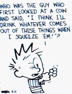 Calvin and Hobbes QUOTE OF THE DAY (DA): Who was the guy who first ...