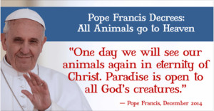 Home 5 NEWS 5 Pope Francis: Animals Go To Heaven