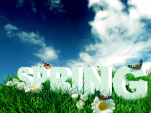 it s the first day of spring yaaahooo how will you celebrate