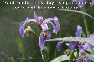 Rainy Day for Housework Gardening Quote at Untrained Housewife