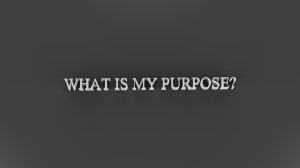 Why is Life’s Purpose so Important?