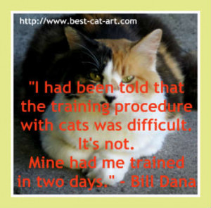 Cat Quotes - What's Been Said About Cats.
