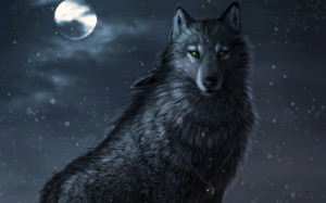 Alpha Coders Wallpaper Abyss Animal Wolf 229738