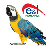 reptile insurance cover comprehensive policies for birds or reptiles ...