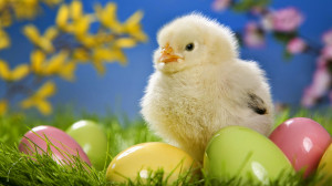Easter 2015 Wallpapers, Images, Messages, Quotes, Wishes