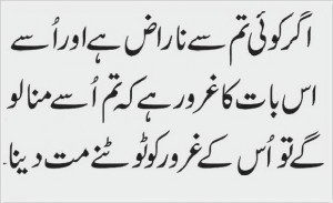 Nice Quote In Urdu