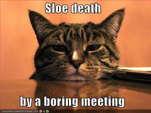 Sloe death.. by a boring meeting