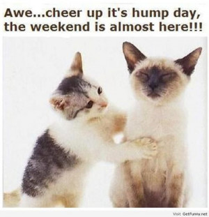 Weekend is almost here! - Funny Pictures, Funny Quotes, Funny Memes ...