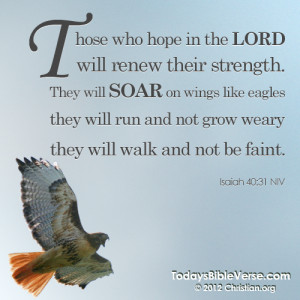 Today's Bible Verse - Daily Bible Verse on Facebook and Pinterest