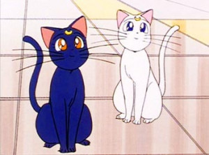 Gatti anime & cartoon