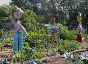 Kids' Garden Interns | Community GroundWorks
